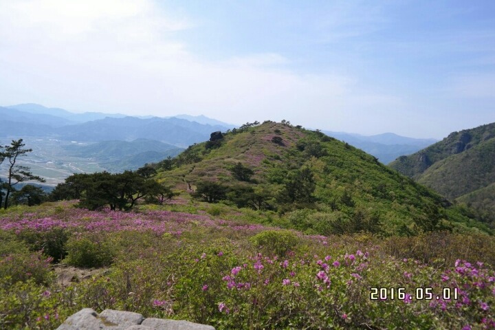 일림 이미지