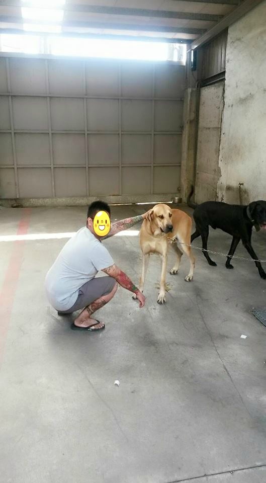 대만 가오슝 폭력조직 SNS ㅎㄷㄷ | 인스티즈