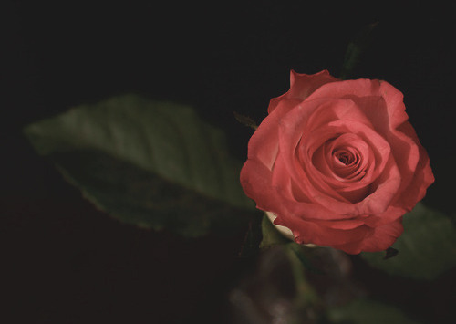 BGM 당신 나는 흙이 되고 내가 훗날 바람 되어 | 인스티즈