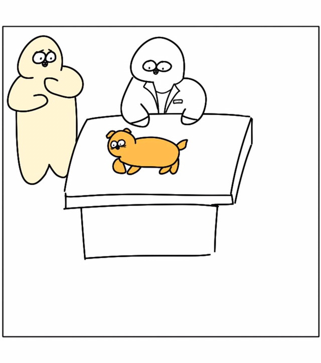 강아지가 우리 곁을 떠날 때 | 인스티즈