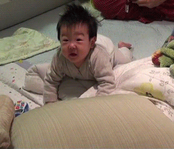 꼬물꼬물 너무 귀여운 이휘재네 쌍둥이 서언이 서준이 움짤 | 인스티즈