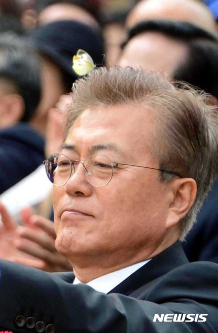 대통령 머리 위에 앉은 나비 | 인스티즈