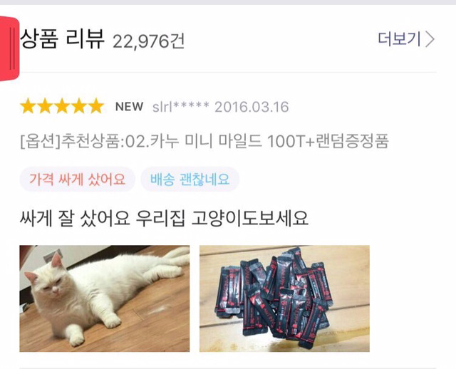 상품평 올리면서 은근슬쩍 고양이 자랑하는 고객 | 인스티즈
