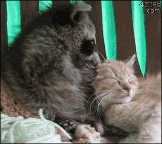 아이고 미안미안.gif | 인스티즈
