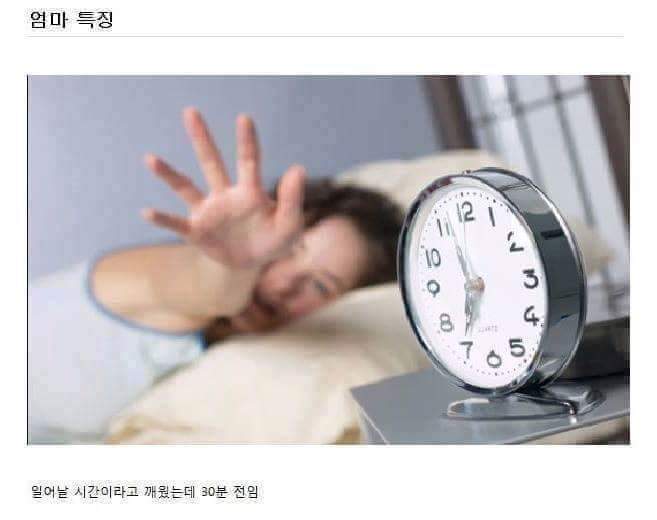 엄마의 특징 | 인스티즈