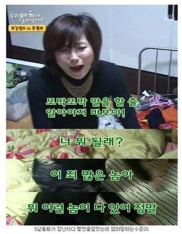 역대최강엄마류 甲.jpg | 인스티즈