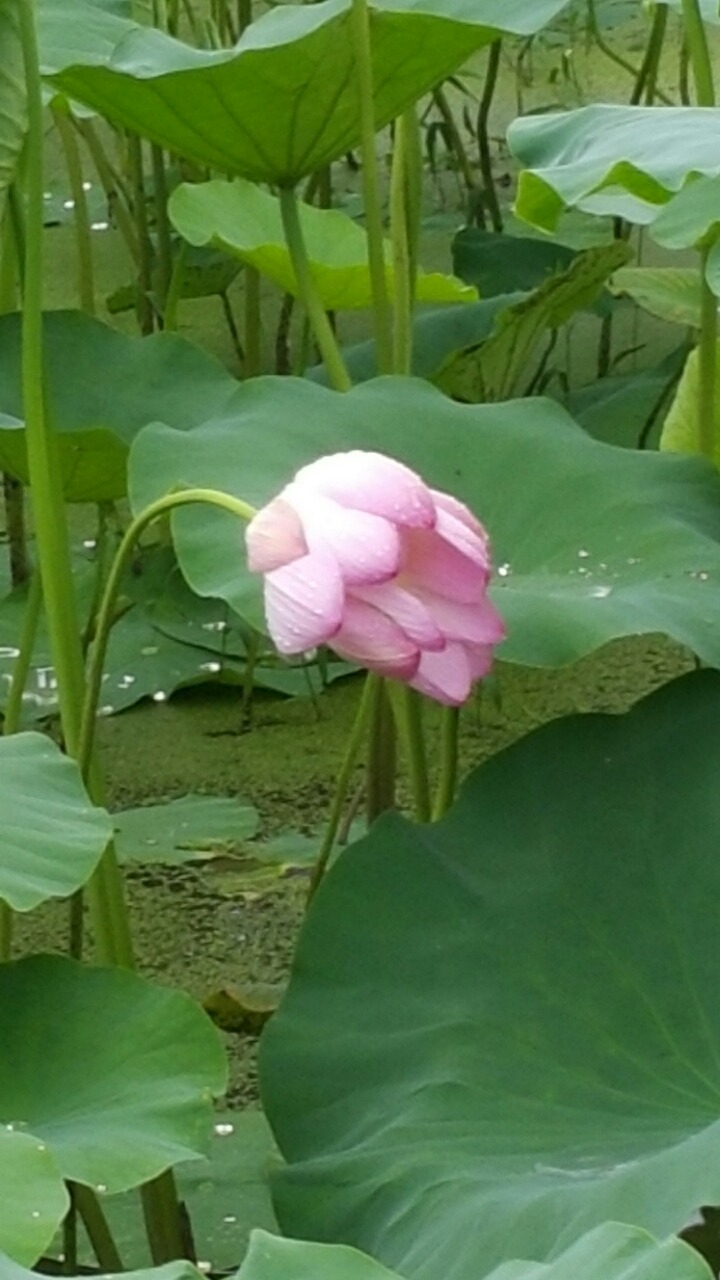 심*성 이미지