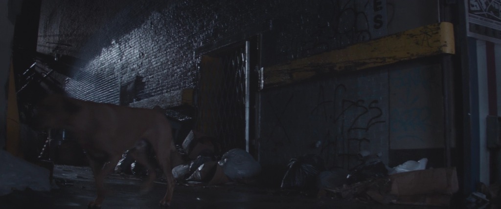 터미네이터1(1984) - 터네이터5제니시스(2015) 비교샷 | 인스티즈