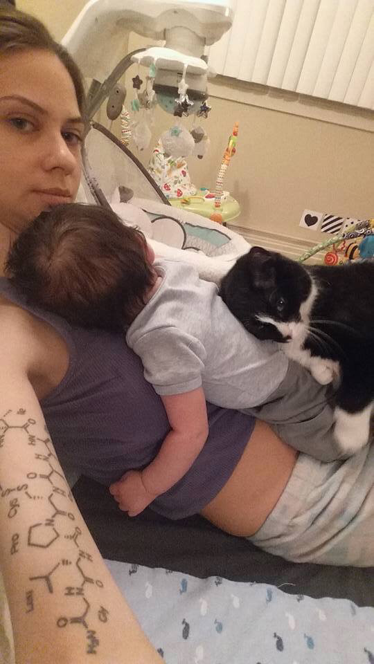아기가 태어나기 전부터 사랑에 빠진 고양이.jpg | 인스티즈