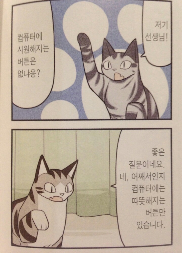 고양이 컴퓨터 사용방법.jpg | 인스티즈