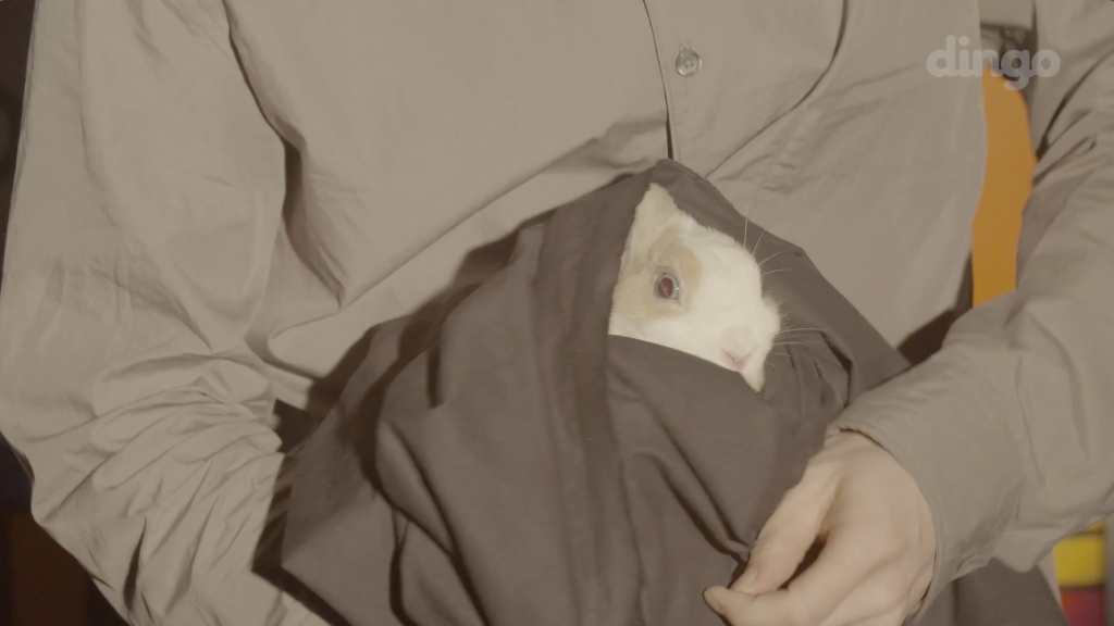 까페훈녀를 겟하는 방법이라는 본격미친 웹무비 | 인스티즈