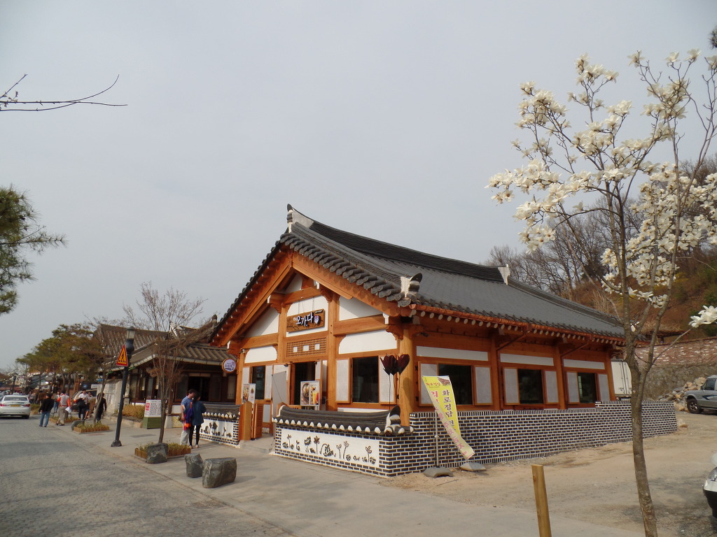 한옥마을의 화사한 봄꽃 감상 | 인스티즈