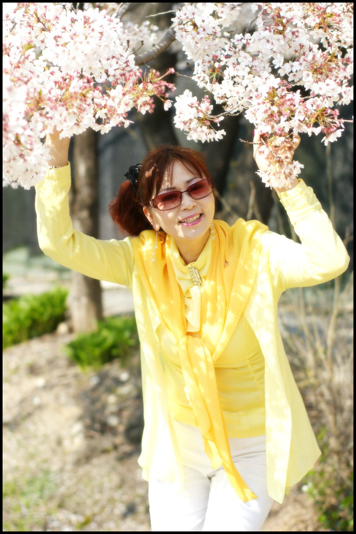 수연 이미지