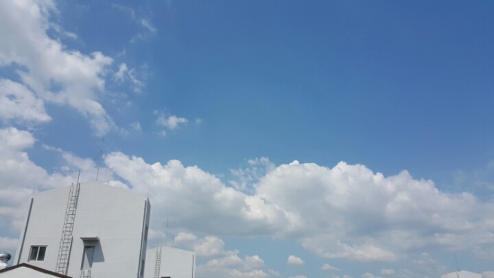 지니들이 원하는 계절(?) 고르기! | 인스티즈