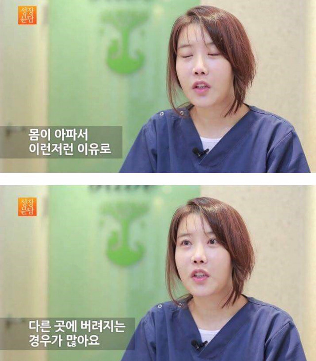 동물을 좋아하는 사람이 동물을 버린단 말이에요 | 인스티즈