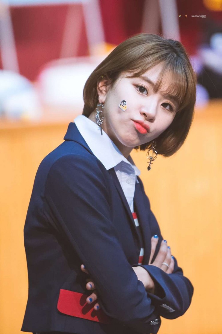 트와이스...사나 제압하는 채영 | 인스티즈