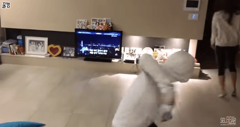 개인적인 여자아이돌 취향 .gif | 인스티즈