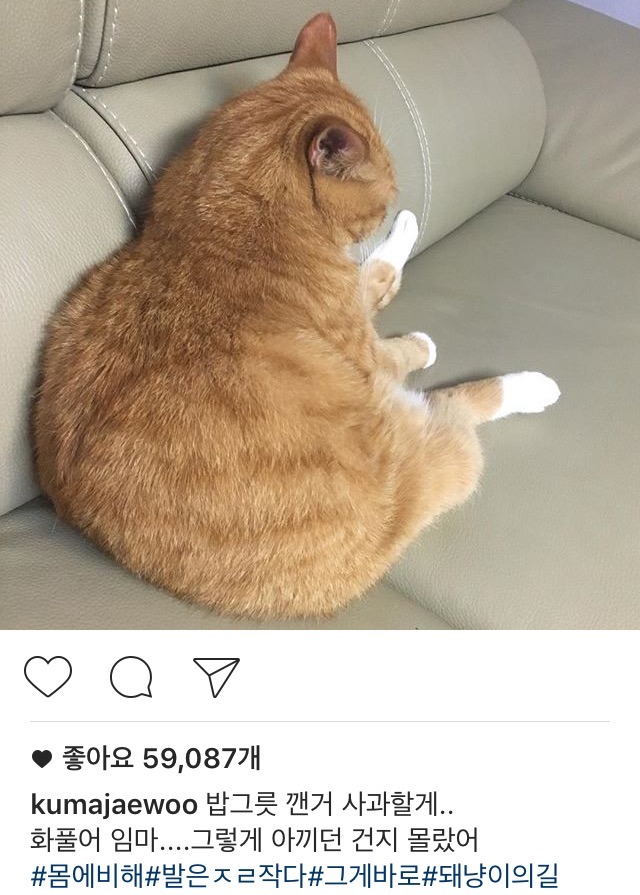 사과하는 김재우 | 인스티즈