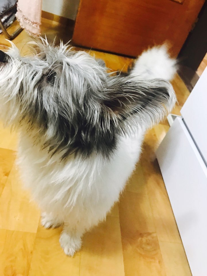 애지 이미지