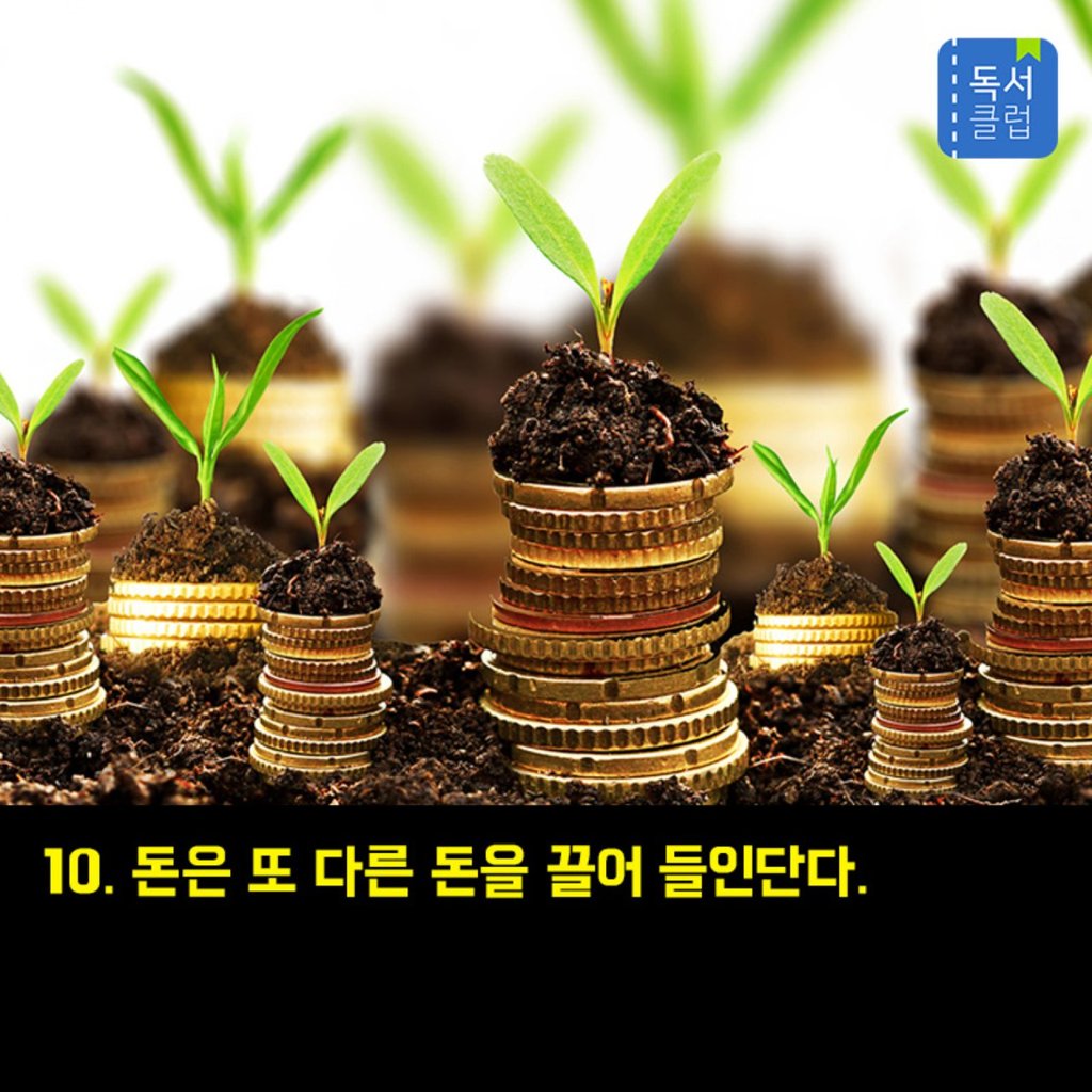 돈에 관한 철학 12가지 | 인스티즈