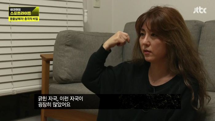 개 50여마리를 담뱃불로 지지고 던지고 매질해 살해한 남고생 7명.jpg | 인스티즈