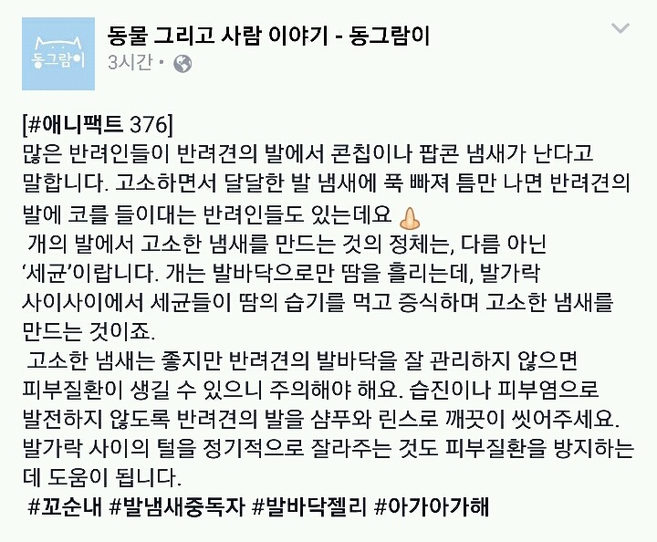 개 발냄새가 고소한 이유 | 인스티즈