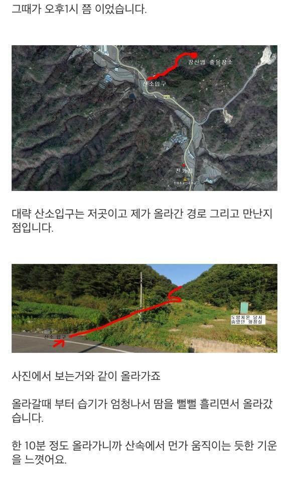 곧 개봉하는 영화 "장산범" 실제 목격 괴담 모음 | 인스티즈