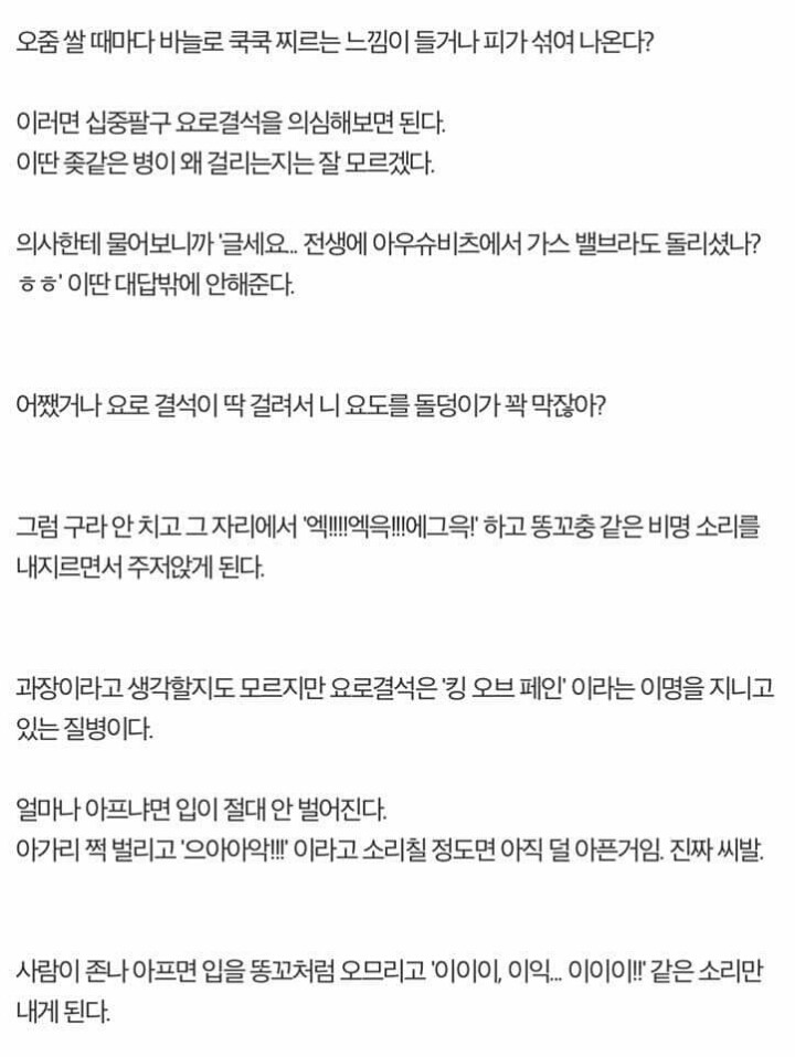 주갤럼의 공포의 요로결석썰.jpg | 인스티즈