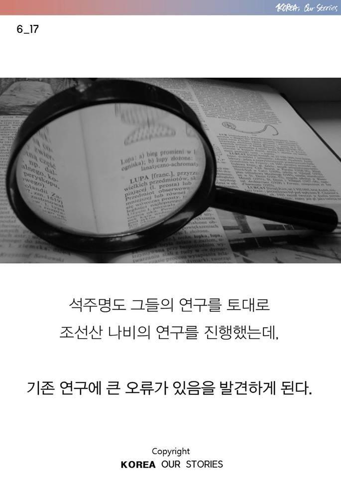 한국에서 나비가 사라졌다 | 인스티즈