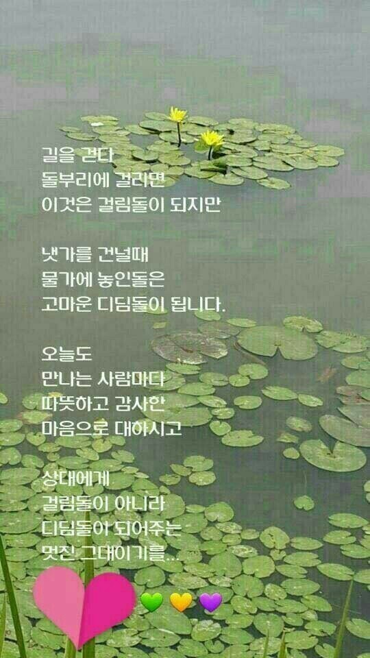 담아서 이미지