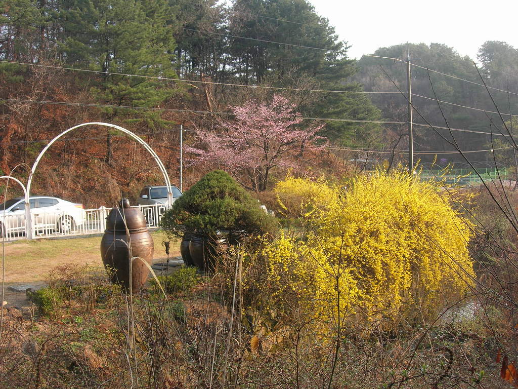 호수정원 이미지
