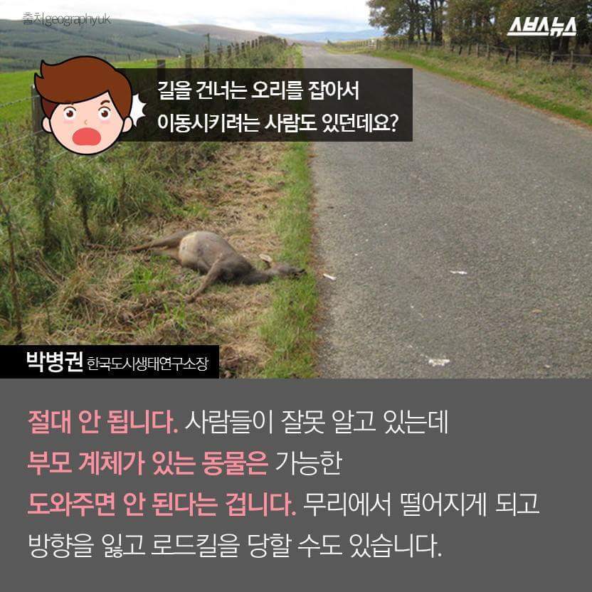 당신은 당신의 이웃을 사랑하십니까? | 인스티즈