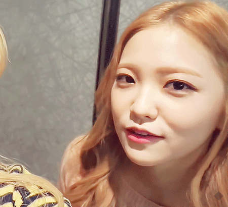 꼬부기들.GIF | 인스티즈