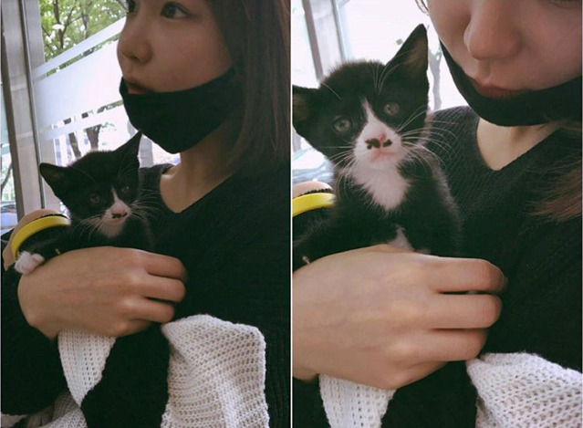 샵에서 사지않고 유기견,유기묘 키우는 연예인들 | 인스티즈