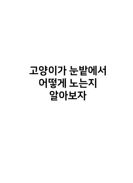고양이가 눈밭에서 어떻게 노는지 알아보자.jpg | 인스티즈