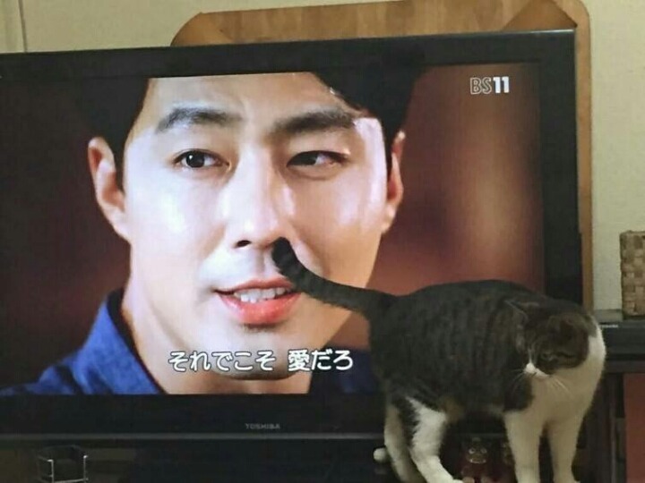 스윽 이미지