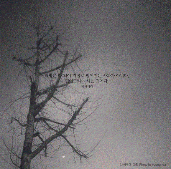 평생 삶의 결정적 순간을 찍으려 발버둥 쳤으나 삶의 모든 순간이 결정적 순간이었다 | 인스티즈