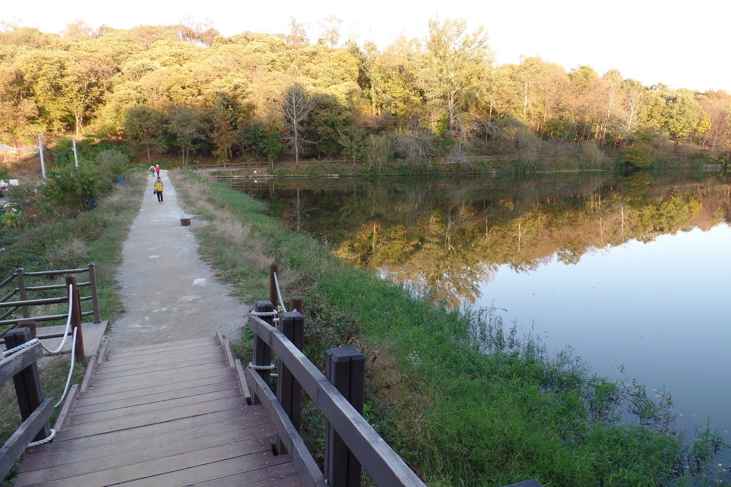 전주 오송제 호수에 비추인 동화 속 가을 풍경 사진을 전체 확대한 모습 감상 | 인스티즈