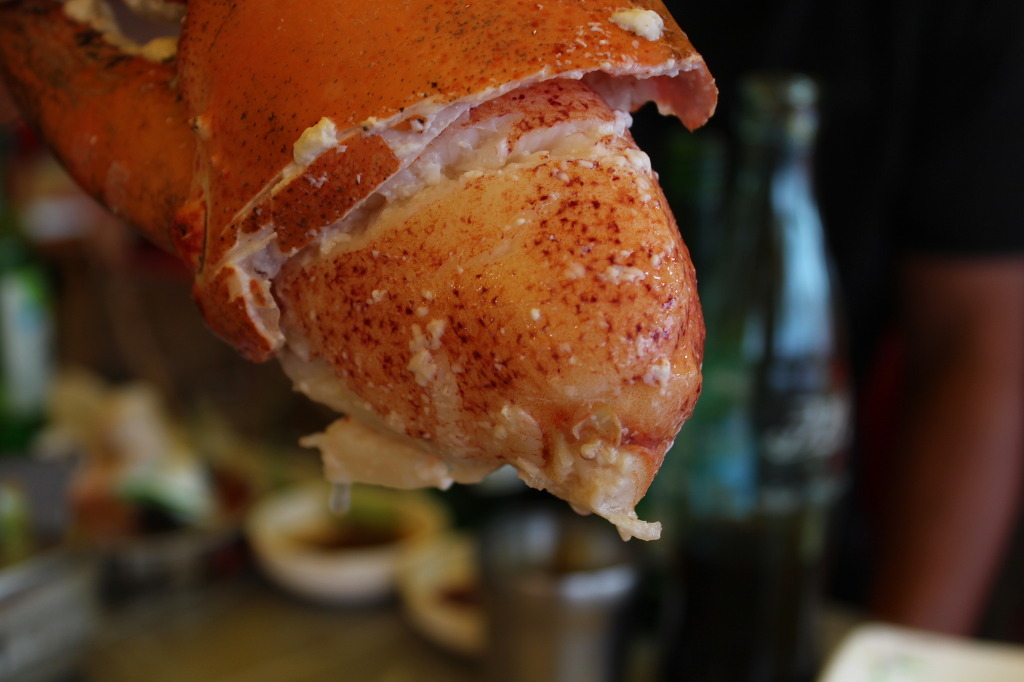 새우의 위엄.jpg | 인스티즈