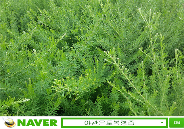 철은인터내셔날(주) 이미지