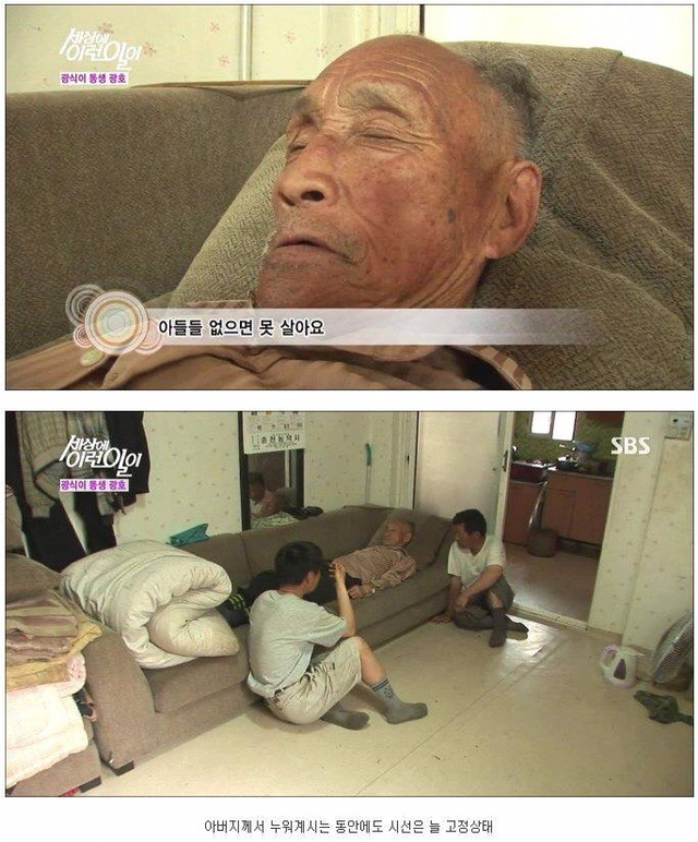 세상에 이런일이 - 길 위에 효자형제 (사이다형제) | 인스티즈