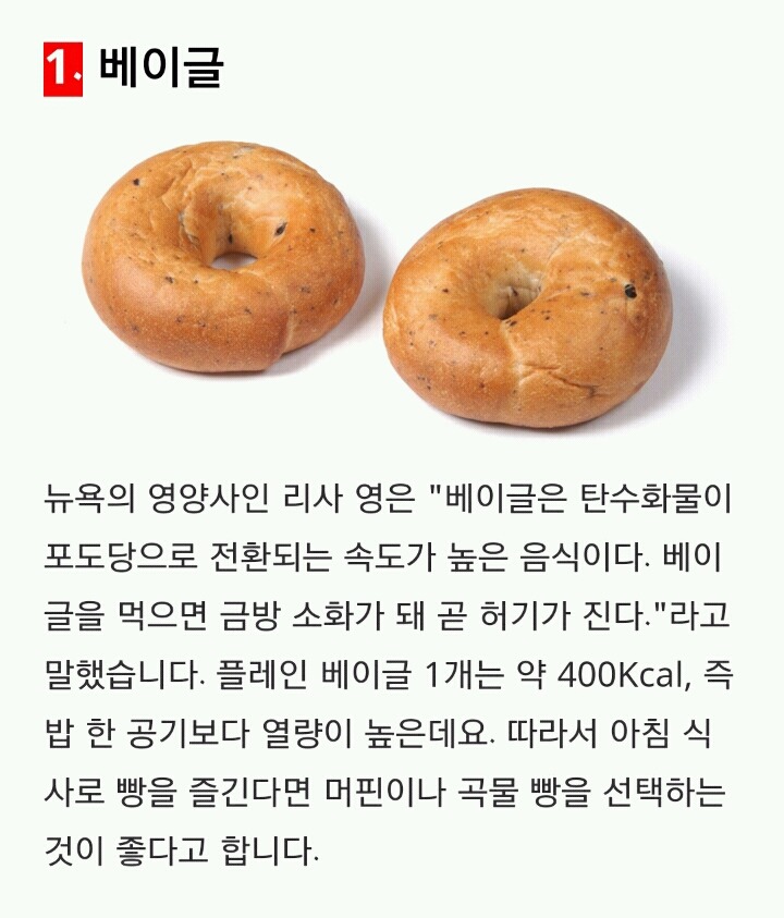 뚱뚱한 사람이 즐겨 먹는 음식 Best 10 | 인스티즈