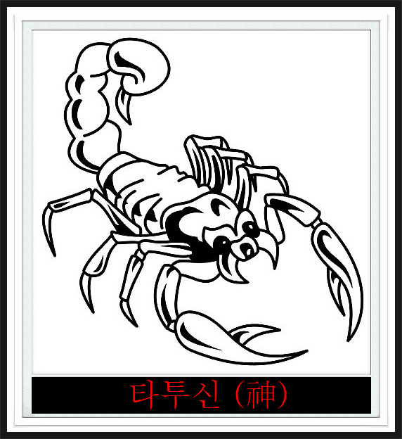 전갈샵 이미지