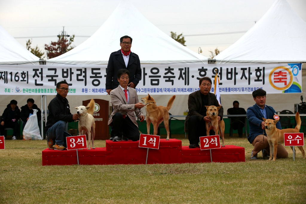 최우수거제 이미지