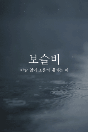  우리말로 된 예쁜 비이름 | 인스티즈