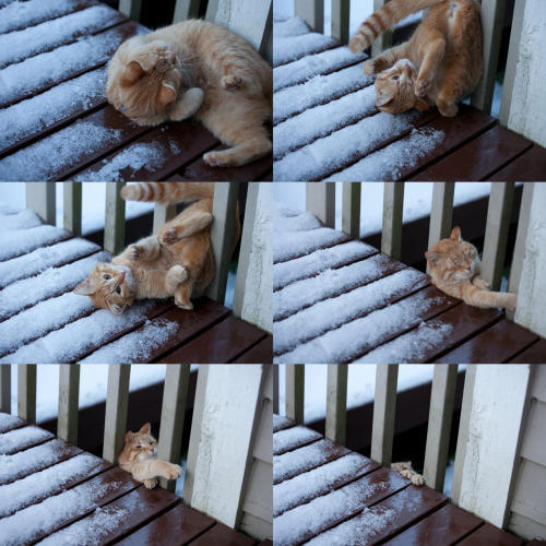 냙....?; 냐냐냨...!!!! | 인스티즈