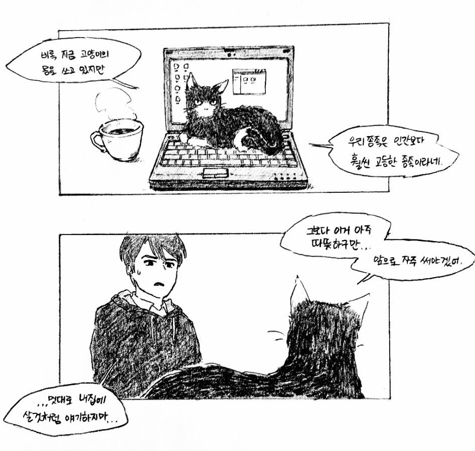 고양이와 동거하는 만화 | 인스티즈