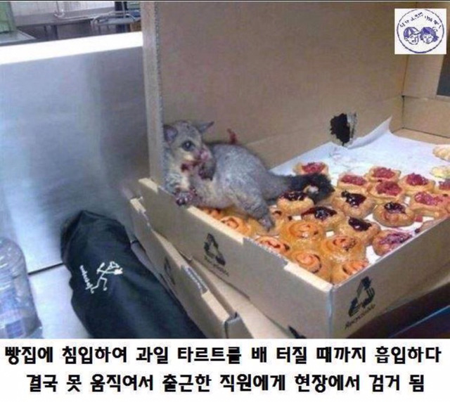죽어도 여한이 없당 | 인스티즈