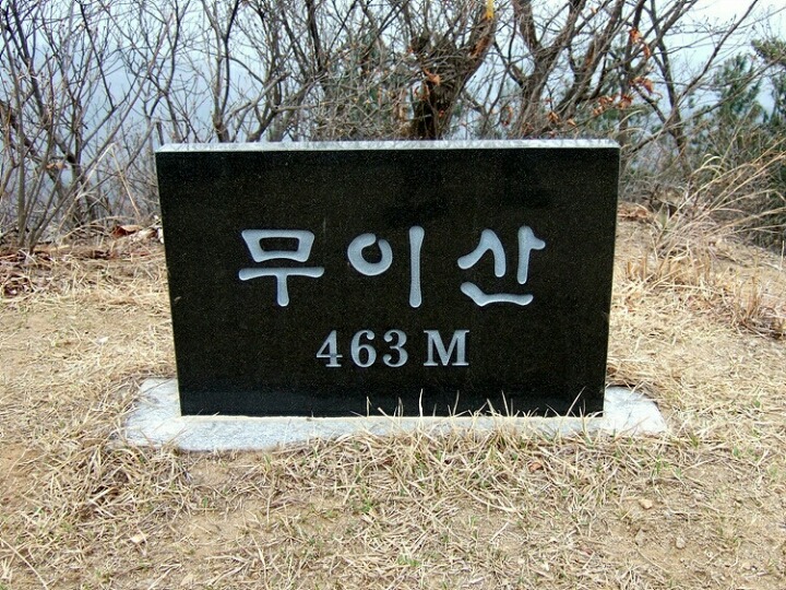 고라니봉 이미지