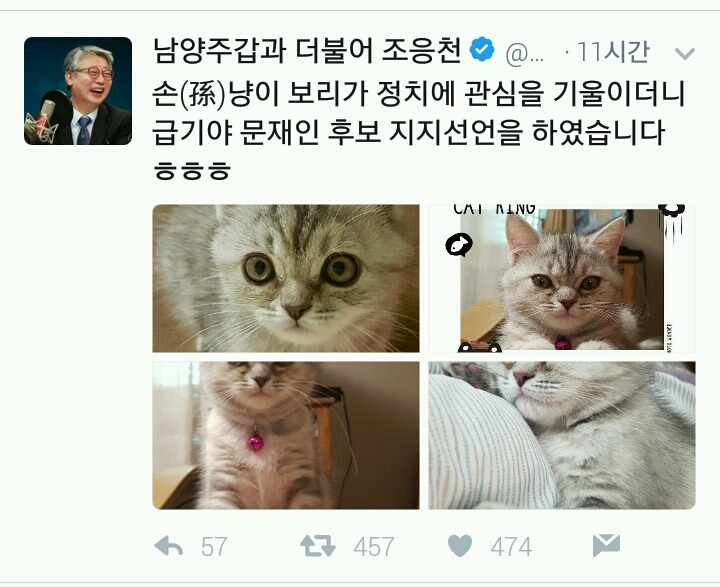 손녀 냥이까지 유세에 이용하는 조응천 의원 | 인스티즈